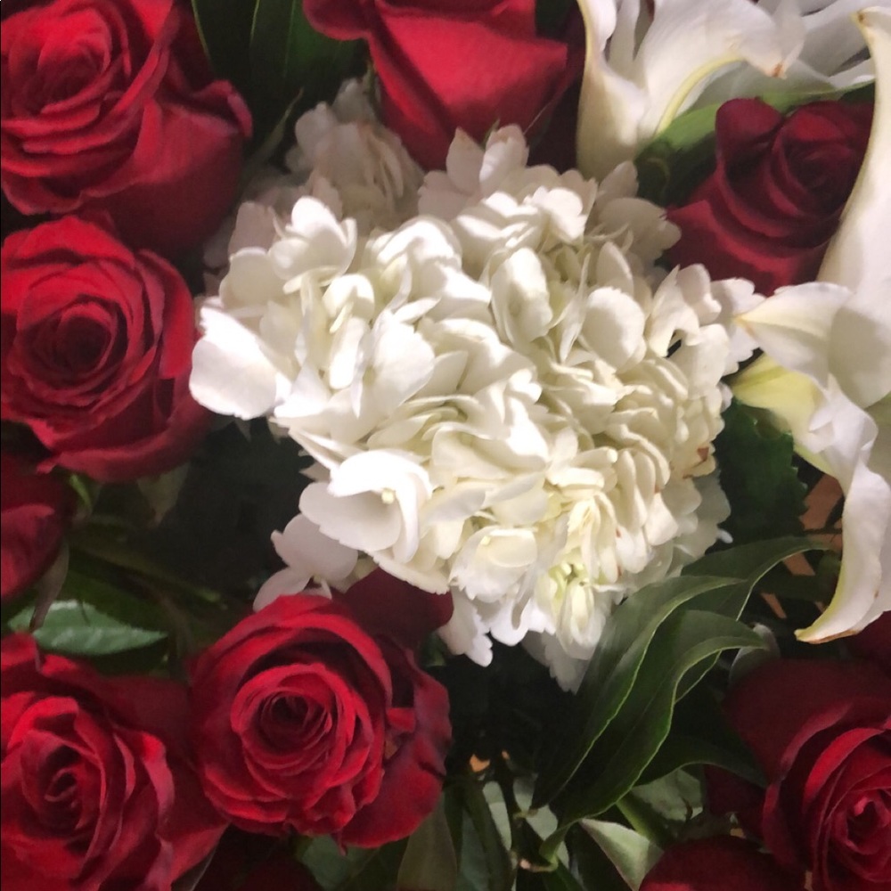 Meet your Posher, Lexi